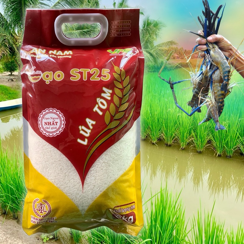 Giới thiệu về Công ty TNHH iWater - Nhà cung cấp Gạo ST25 Lúa Tôm tại Quận Phú Nhuận