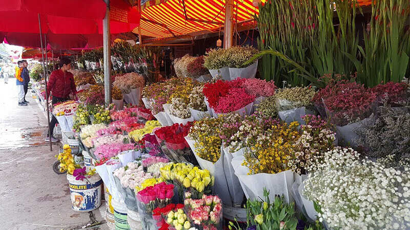 chợ hoa hồ thị kỷ