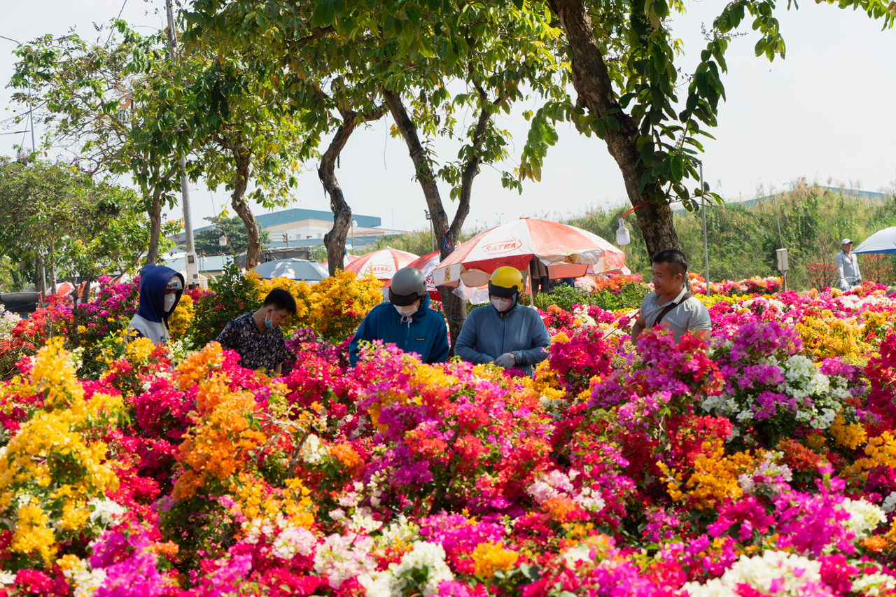 Chợ hoa phú nhuận