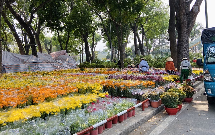 Những chợ hoa xuân đẹp, mua sắm Tết ở Sài Gòn
