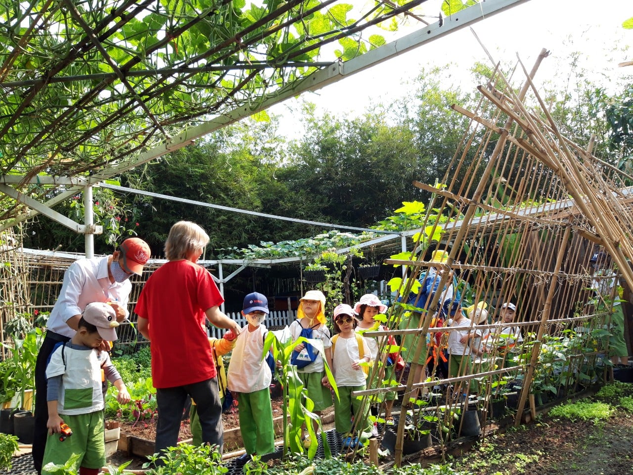 Family garden - oishi town