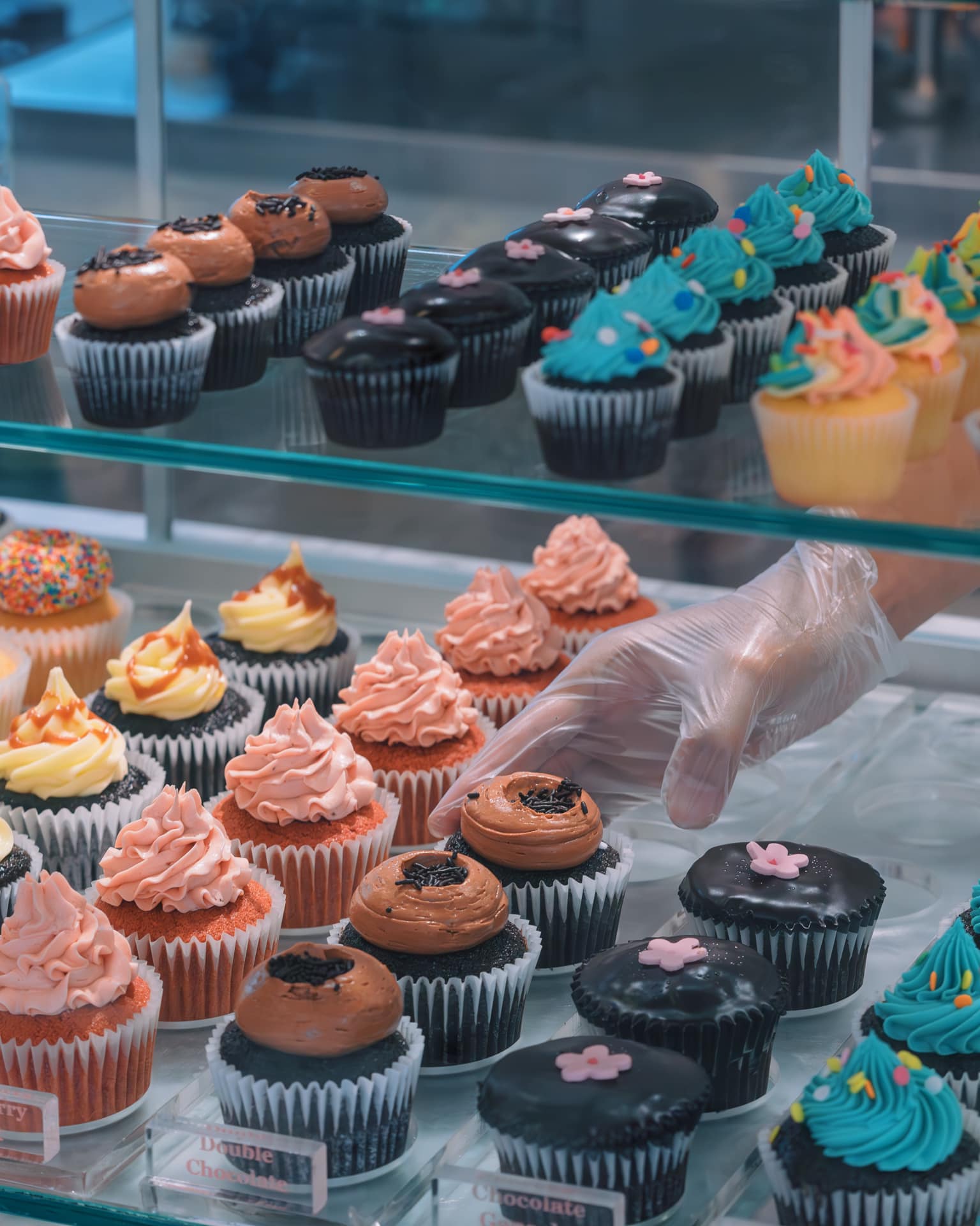 các loại bánh tại sweet sour bakery